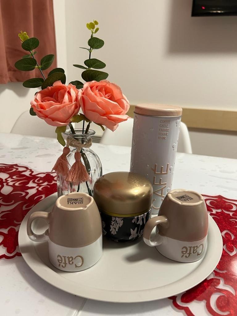 Beautiful Garden Apartment Cote D'Azur カンヌ エクステリア 写真