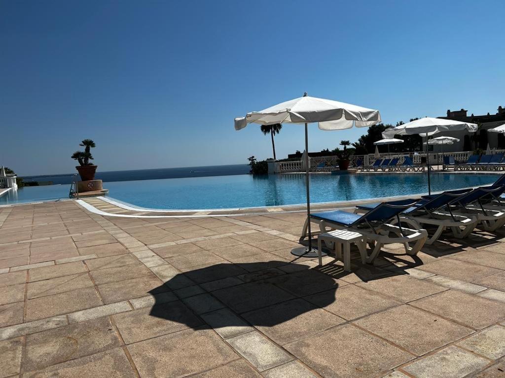 Beautiful Garden Apartment Cote D'Azur カンヌ エクステリア 写真